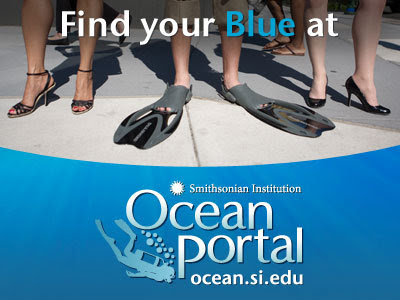 find your blue