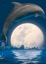 las noches del oceanografico valencia.Espectaculo delfines en el delfinario