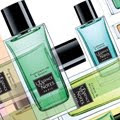 la esencia de notas, nuevo perfume francés