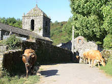 Country Lane