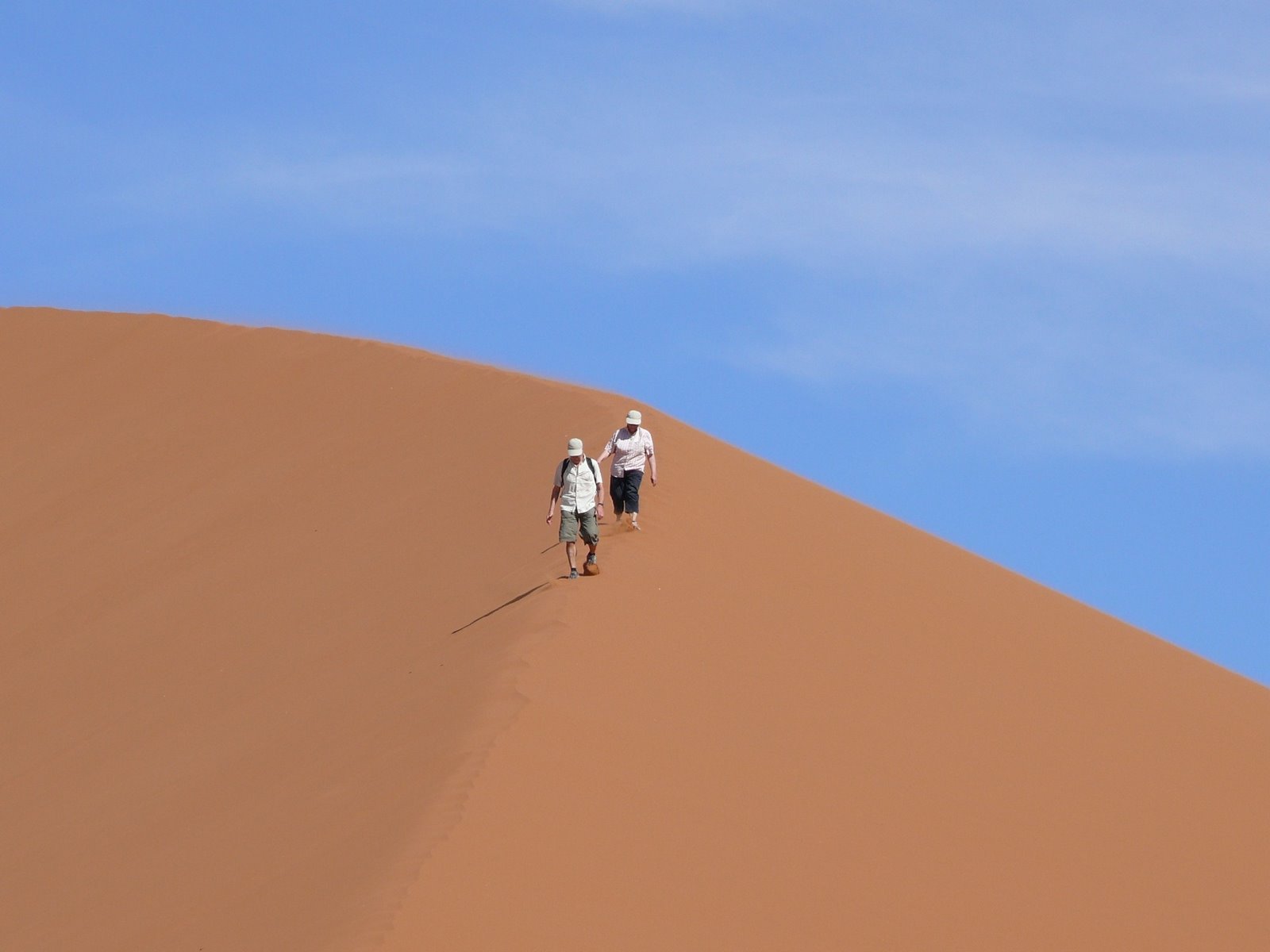 [dune45.jpg]