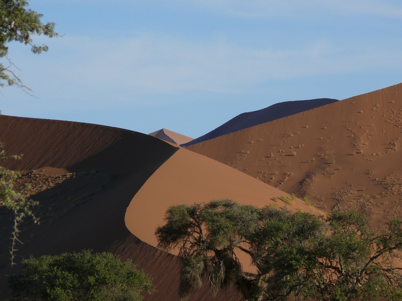 [sossusvlei.jpg]
