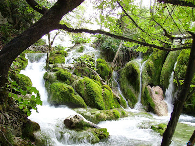 poema paraíso