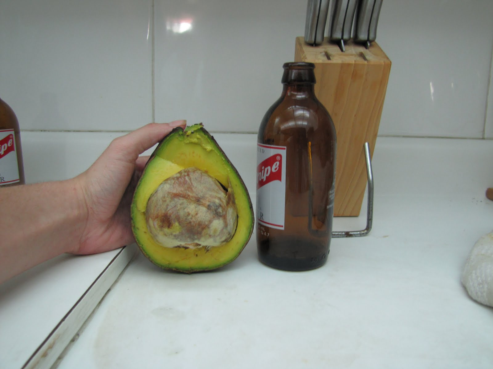 Jamaican Avocado