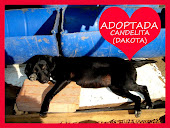 Candela (Dakota) ADOPTADA!