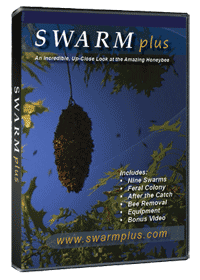 SwarmPlus video