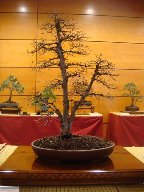 [DSC05095.JPG]