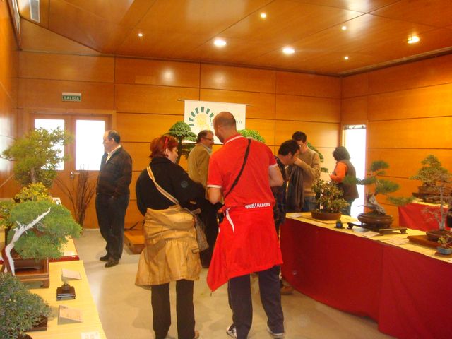 [DSC05087+-+copia.JPG]