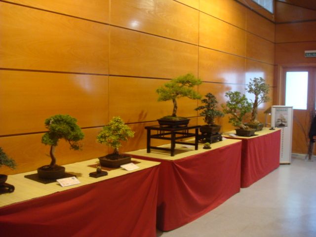 [DSC05017.JPG]