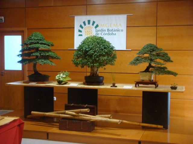 [DSC05015.JPG]
