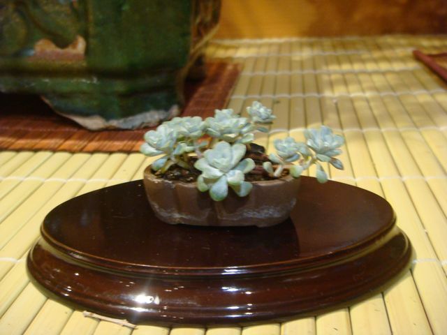 [DSC05150.JPG]