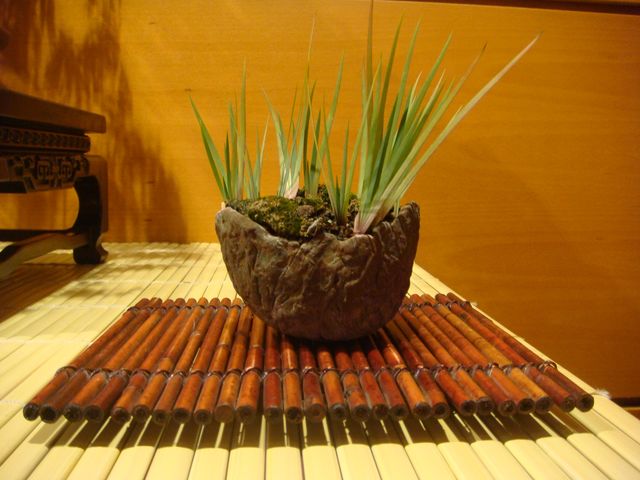 [DSC05144.JPG]
