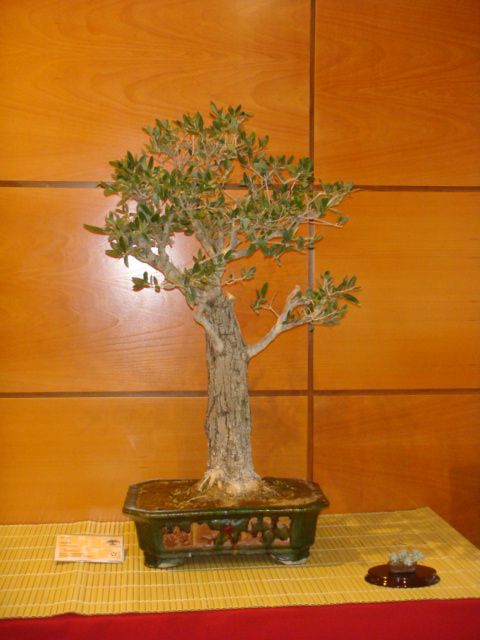 [DSC05022.JPG]