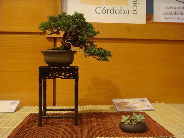 [DSC05129.JPG]