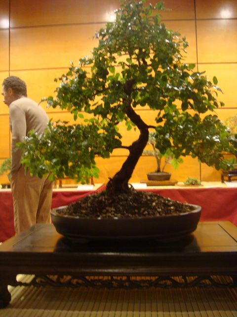 [DSC05128.JPG]