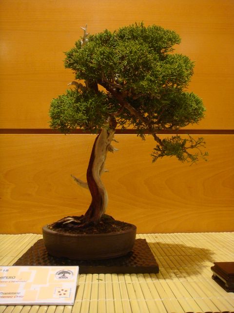 [DSC05119.JPG]