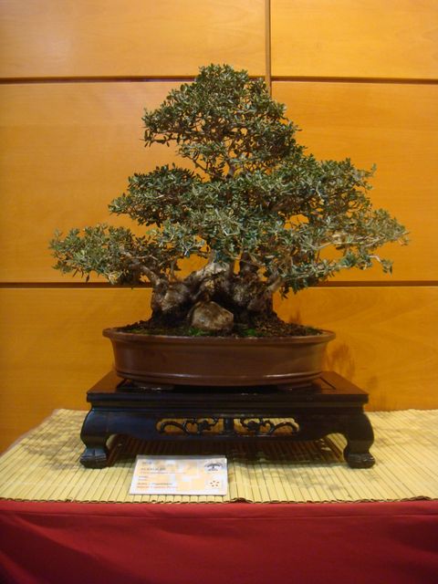 [DSC05098.JPG]