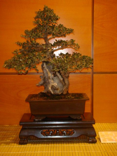 [DSC05024.JPG]