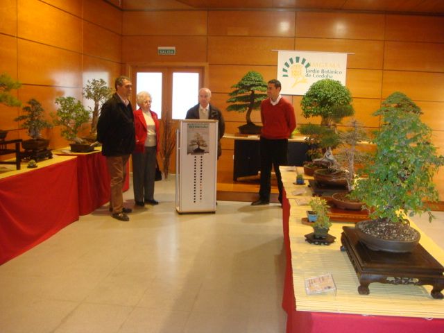 [DSC05031.JPG]