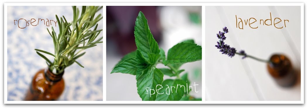Spearmint Tea Tree Natural Deodorant Aluminum Free Spearmint Tea Tree Natural Deodorant Aluminum Free