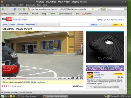 Linux Mint 7 review: flash included