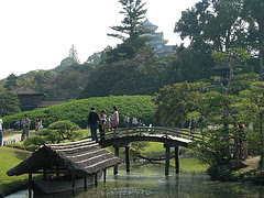 Beautiful Garden
