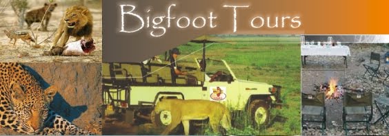 Bigfoot Tours Botswana's Premier Tour Operators