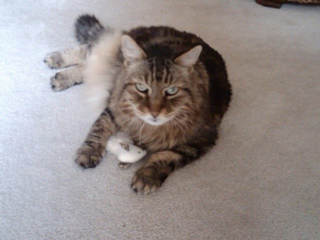 Tigger