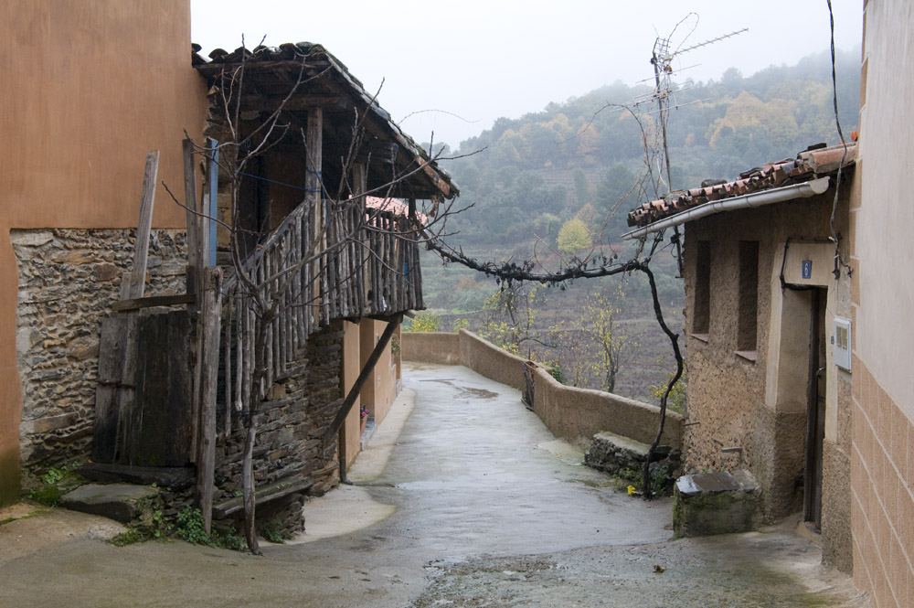 [DSD_1857.jpg]