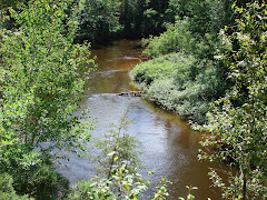 michigan