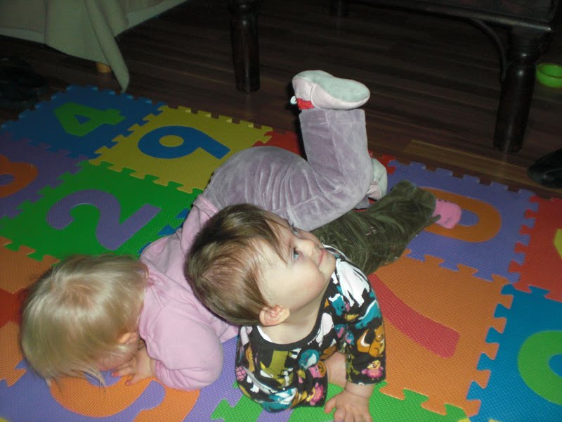 [PO20091105_0018.jpg]
