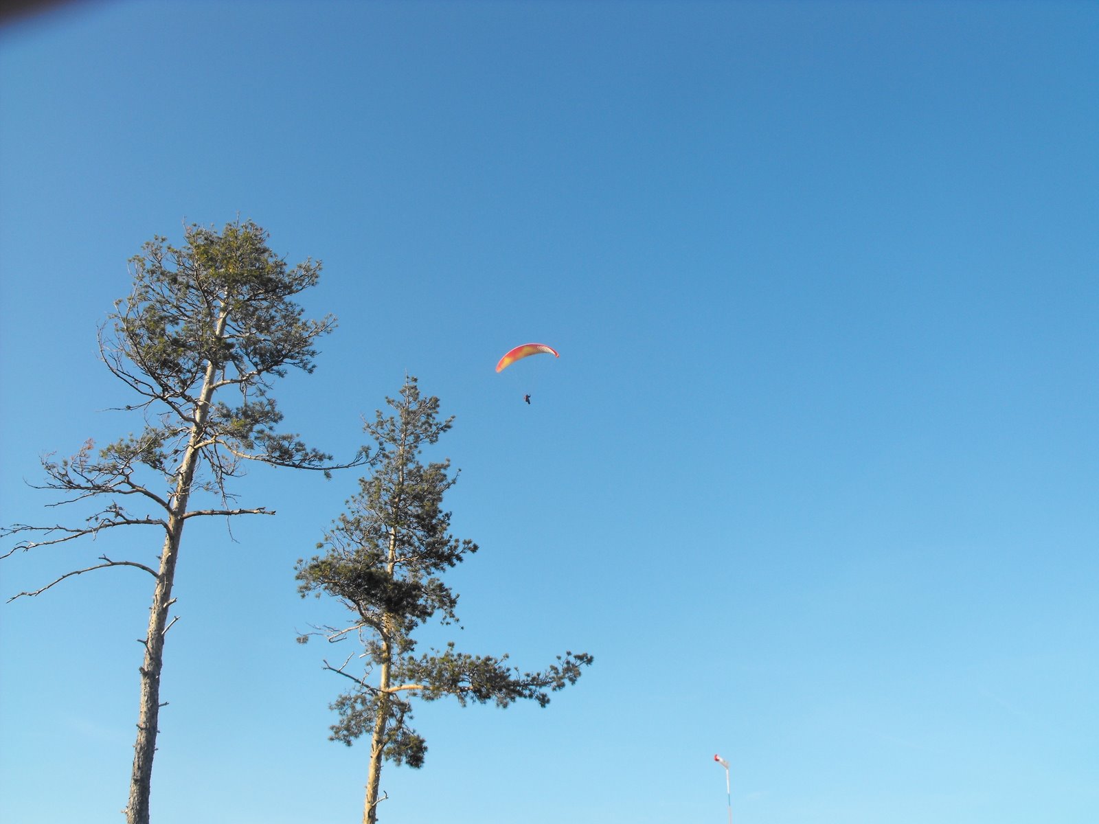 [DSCF0409.JPG]