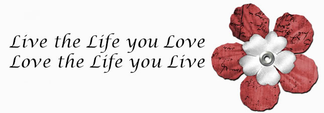 Live the Life you Love, Love the Life you Live