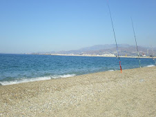 PLAYA DE LAS AZUCENAS