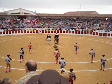 TARDE DE TOROS