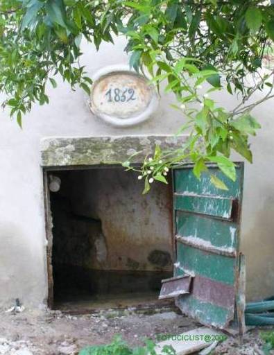 [fon1832.jpg]