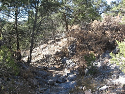 Gold Bedrock