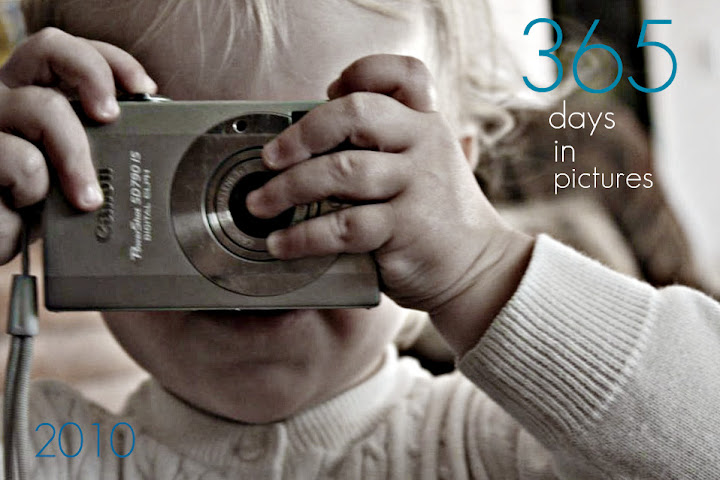 365 days in pictures