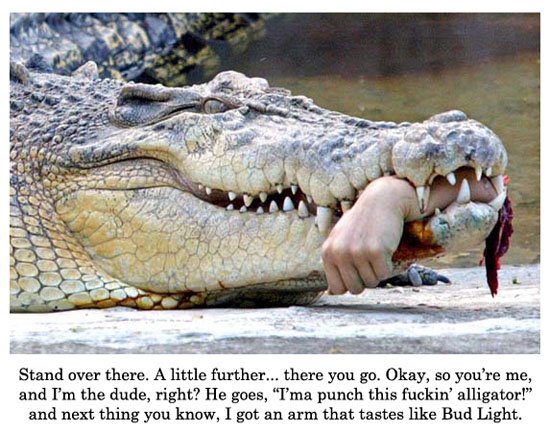 [crocodile-punching.jpg]