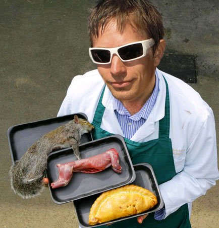 [cSquirrelsJPEG.jpg]