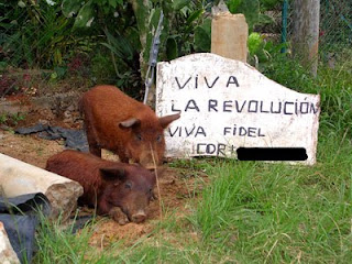 prostituée draguignan