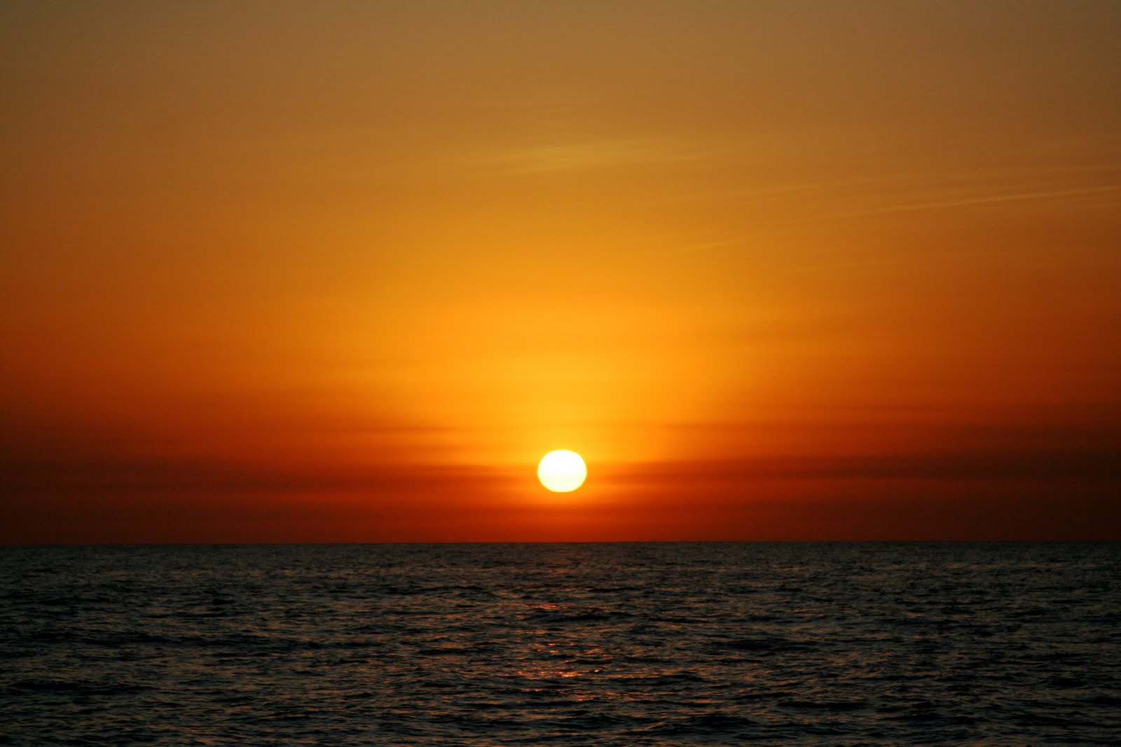 [IMG_3629.JPG]