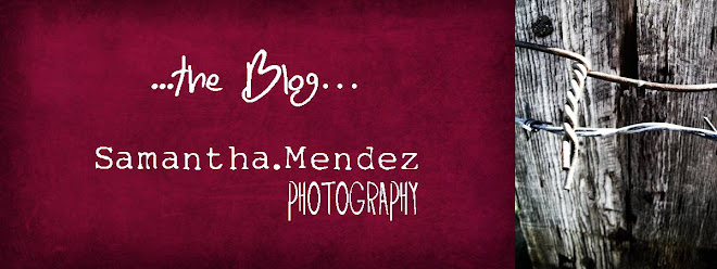 Samantha Mendez Photography