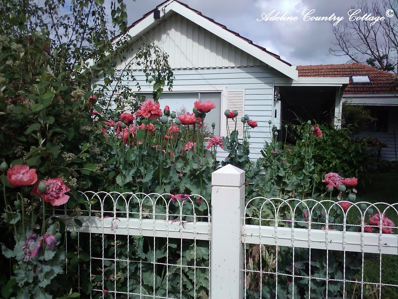 Adeline Country Cottage A Little Adeline Cottage...