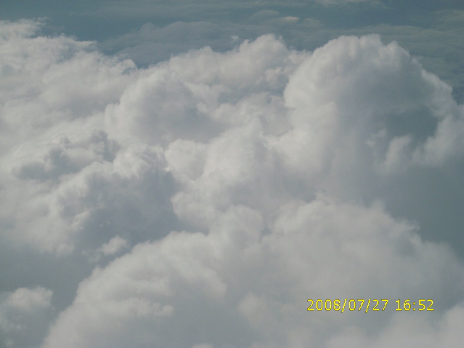 [IMG_0589.JPG]