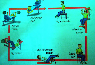 info pendidikan jasmani kesihatan: latihan litar bagi kekuatan otot