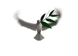 la colombe, le rameau d'olivier, la paix dans le monde et dans les coeurs de tous les humains