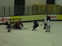 Golan blogger makes the save!