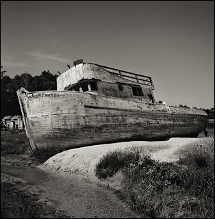 Brandon Allen Photography - Hasselblad 500cm - Black and White Photographs - Point Reyes, CA Brandon Allen Photography - Hasselblad 500cm - Black and White Photographs - Point Reyes, CA