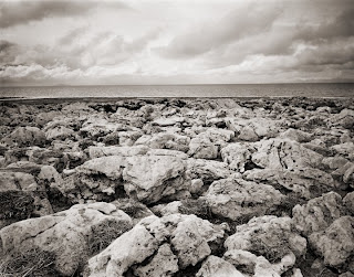 Departed Avian - Antelope Island - Great Salt Lake Departed Avian - Antelope Island - Great Salt Lake